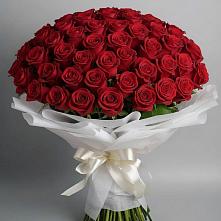 Букет 101 Красная роза Блэк Мэджик в Белоозерский