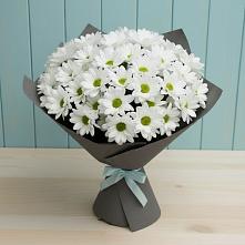 Букет цветов из:  Хризантемы в Белоозерский