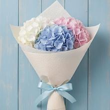 Букет цветов из:  Гортензия в Белоозерский