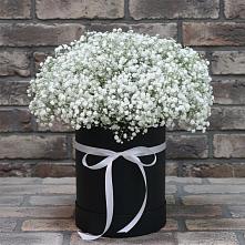 Цветочная композиция из Гипсофила в шляпной коробке в Белоозерский
